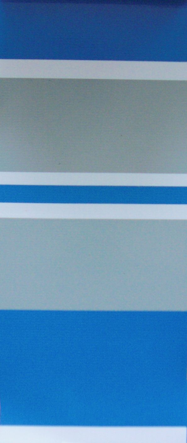 YM-061P